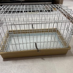 小動物　輸送ケージの画像