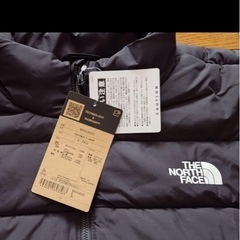 ノースフェイスメンズダウンの画像