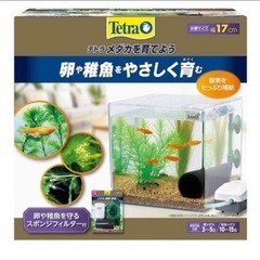 未使用　
小型水槽　17㎝正方形の画像