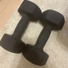 早いもの勝ち　ダンベル10㎏の画像