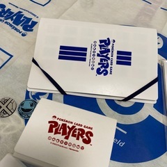 ポケモンカードゲーム プレイヤーズの画像