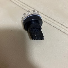 クルクルテールの画像