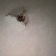 タイルトップカウンター棚　カントリー風 の画像