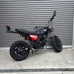 エイプ50の画像