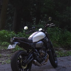 xsr700 カスタム多数の画像