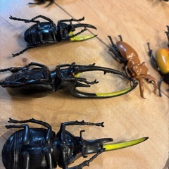 昆虫おもちゃ の画像