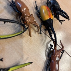 昆虫おもちゃ の画像