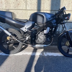 HONDA NS-1 ネイキッド仕様！レストア済！絶好調！の画像