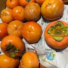 今年も収穫♡和歌山県九度山産　甘柿　富有柿　おまとめの画像