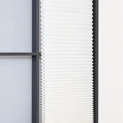 スリーコインズブラインドSの画像