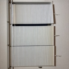 スリーコインズブラインドSの画像