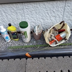 園芸 サボテン 除草剤 雑草除去 除草シートの画像