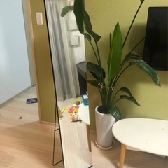 鏡かがみの画像