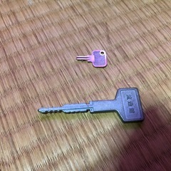 パチスロ　AKB48 コイン不要機　設定キー　ドアキーありの画像