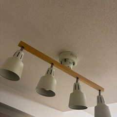 【11/27まで】リビングダイニング デザインライト (リモコン付)の画像