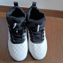 USAのエアータイプですの画像