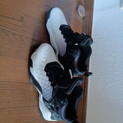 USAのエアータイプですの画像