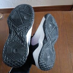 USAのエアータイプですの画像