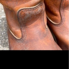 2足レッドウィングの画像