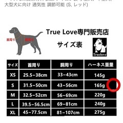 cocomal 犬用ハーネスの画像