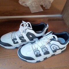 USAのエアータイプですの画像