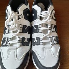 USAのエアータイプですの画像