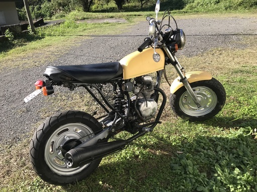 ■ホンダエイブ50