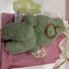 【正規品購入証明あり】ラブブ(Green Grape)の画像