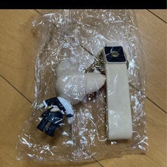 Straykids SKZOO アイエン　FoxINy キーホルダーの画像