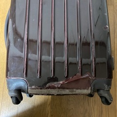 ムーミンスーツケースの画像