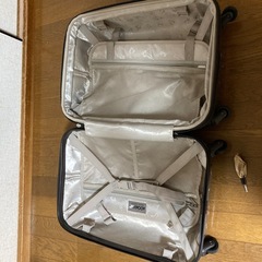 ムーミンスーツケースの画像