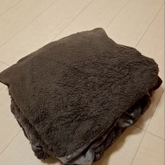 NウォームSP 敷きパッドの画像