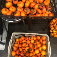 柿　無料です。欲しい方どうぞ^_^の画像