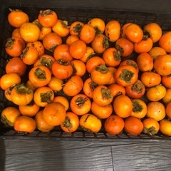 柿　無料です。欲しい方どうぞ^_^の画像