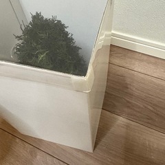 IKEA　クリスマスツリー　の画像