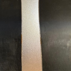 サロモンスキーの画像