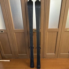 サロモンスキーの画像