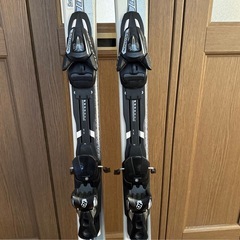 サロモンスキーの画像