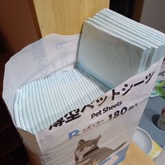 ⚠️値引き対応不可⚠️薄型ペットシーツ レギュラーサイズ(開封済み)(スギ薬局商品)の画像