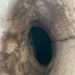 美品　レディース　ムートンブーツ　Mの画像