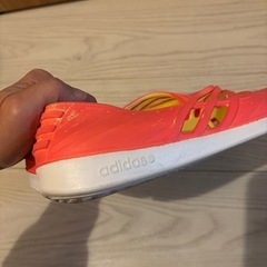 【11/25まで掲載】adidas ウォーターレディースシューズ の画像