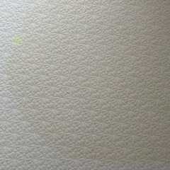 低反発マットレス シングル(半年前買った)の画像