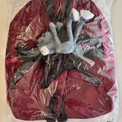新品未使用品 韓国風リュックの画像