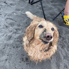 残枠5名❣️高額収入！安定！安心のサポートの画像