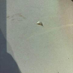 収納付きシングルべベッドの画像