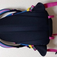 THE NORTH FACEの画像