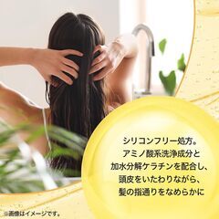 Naシャンプー モイスチャー＆シャインの画像