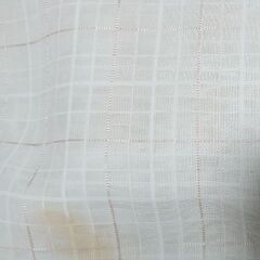 (訳あり)レースカーテンの画像
