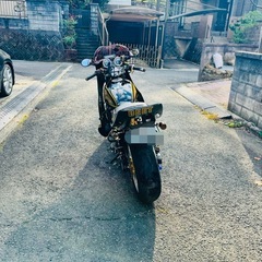 ゼファーxの画像