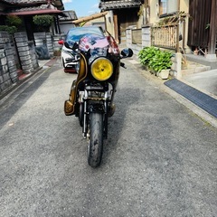 ゼファーxの画像